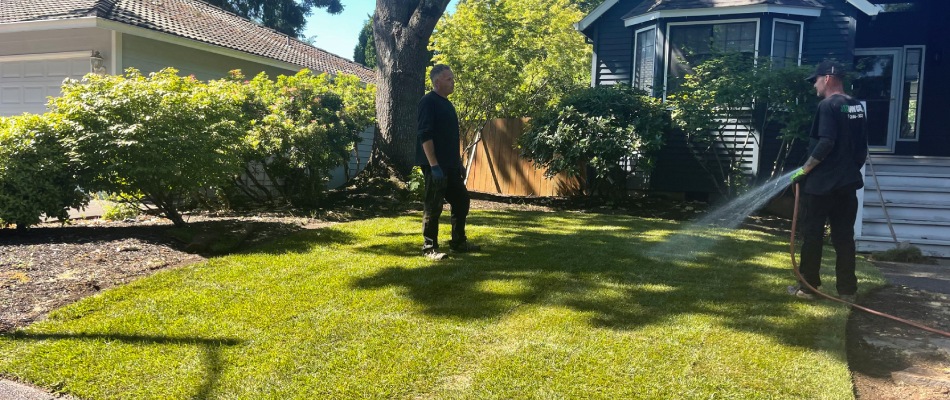 Workers watering newly installed sod for clients in Portland, OR.