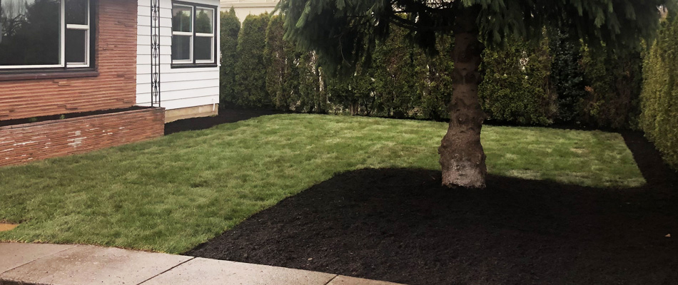 Process: How to Install New Sod in Portland, OR