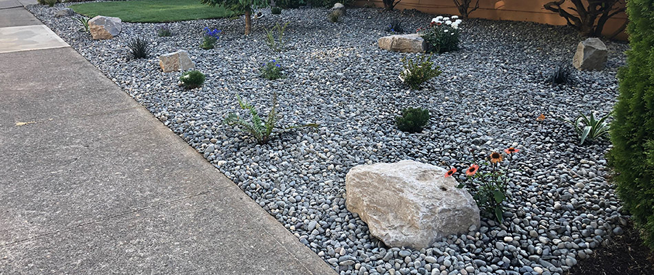 Landscape bed topped with rock mulch.