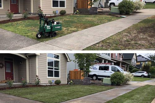 A new sod installation at a Happy Valley home.